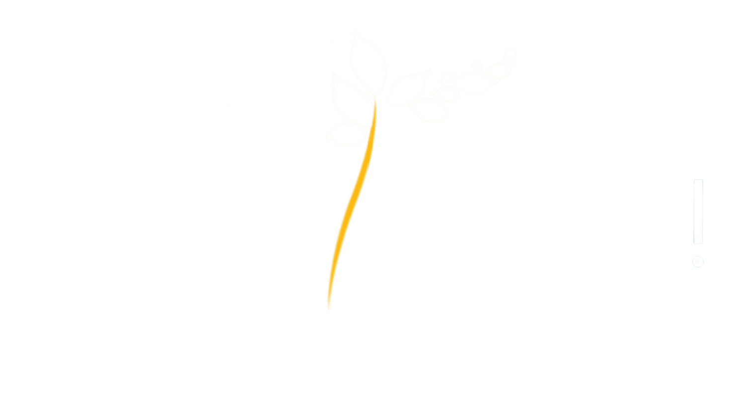 Inspirons !