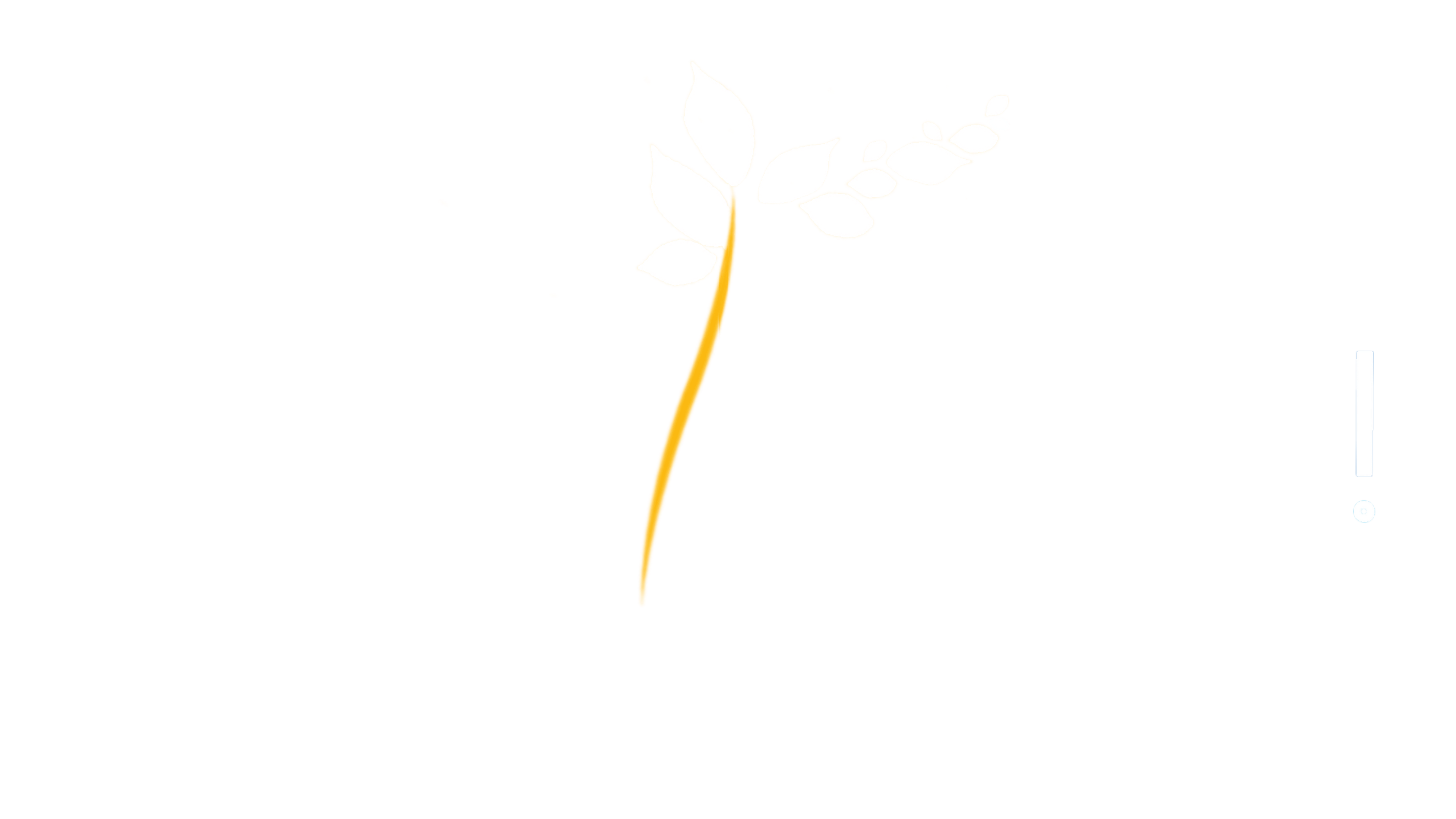 Inspirons !
