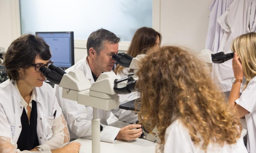 Dans les laboratoires de RespirERA, le Pr Paul Hofman et ses équipes étudient le lien entre pollution-réchauffement climatique et maladies pulmonaires. Photo : RespirEra