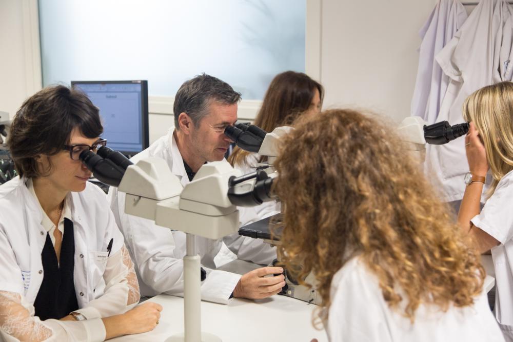 Dans les laboratoires de RespirERA, le Pr Paul Hofman et ses équipes étudient le lien entre pollution-réchauffement climatique et maladies pulmonaires. Photo : RespirEra