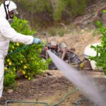 La présence de 10 pesticides dans l'air en région Provence-Alpes-Côte d'Azur est mesurée de façon récurrente chaque année par AtmoSud. Photo : Canva