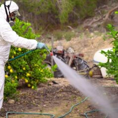 La présence de 10 pesticides dans l'air en région Provence-Alpes-Côte d'Azur est mesurée de façon récurrente chaque année par AtmoSud. Photo : Canva