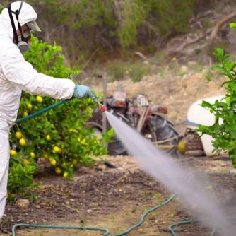 La présence de 10 pesticides dans l'air en région Provence-Alpes-Côte d'Azur est mesurée de façon récurrente chaque année par AtmoSud. Photo : Canva