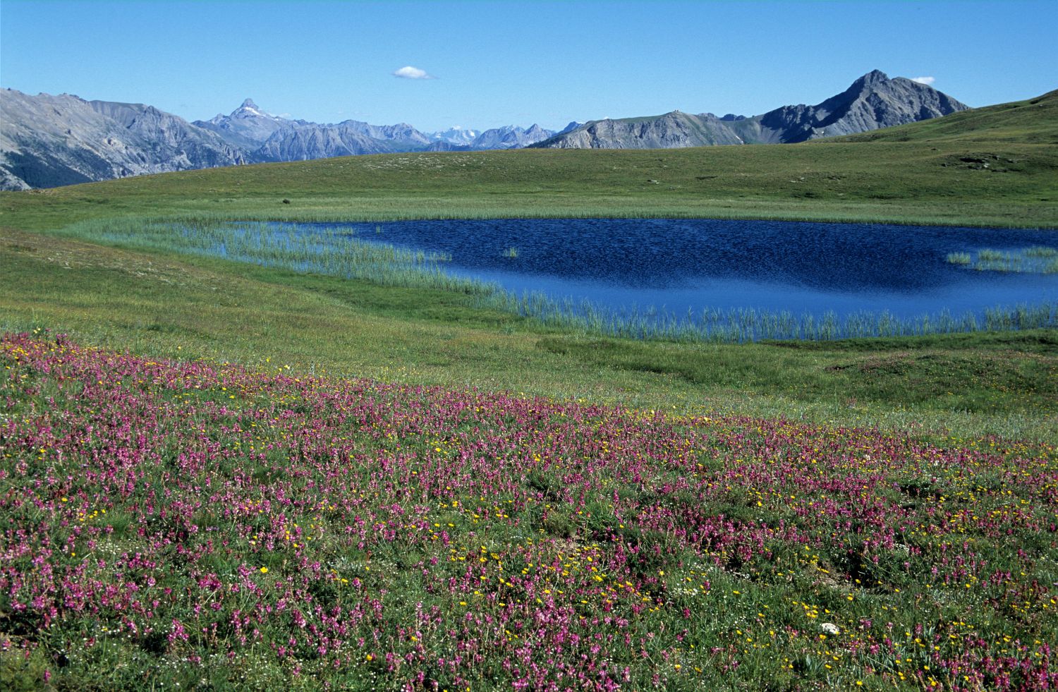 L'alerte pollution de l'air aux particules fines a été déclenchée parAtmoSud le 9 juin dans les Hautes-Alpes. Photo : Pexels