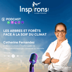 Le professeur à l’Institut méditerranéen de biodiversité et d’écologie (IMBE), Catherine Fernandez, est l'invitée de Frédérique Jacquemin pour aborder le devenir des arbres et forêts face au dérèglement climatique.