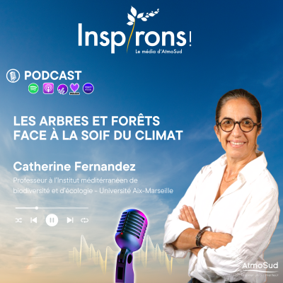 Le professeur à l’Institut méditerranéen de biodiversité et d’écologie (IMBE), Catherine Fernandez, est l'invitée de Frédérique Jacquemin pour aborder le devenir des arbres et forêts face au dérèglement climatique.