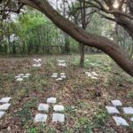 Litières d'arbres observées dans le cadre du projet de recherche Litosmed pour étudier les concentrations de composés organiques volatils précurseurs de la pollution photochimique d'ozone. Photo Manon ROCCO