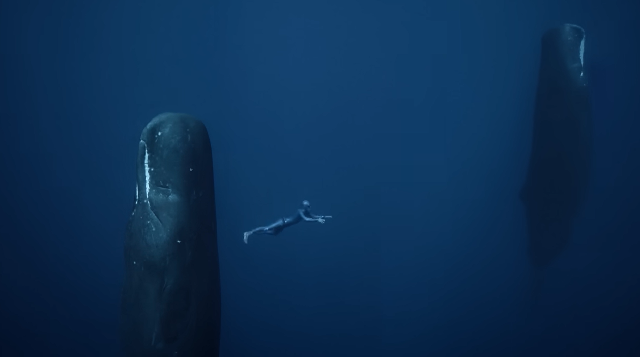 Guillaume Néry dansant aux côtés de cachalots endormis. Un instant de grâce qui appelle l'Homme à repenser sa place sur terre avec humilité. Photo : Capture écran "One Breath Around the World"