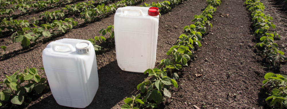 Une agriculture sans pesticides et autres intrants chimique est-elle possible pour nourrir la planète à grande échelle&nbsp;? L'agriculture de conservation peut-elle être une part de la réponse&nbsp;? Photo&nbsp;: Canva 