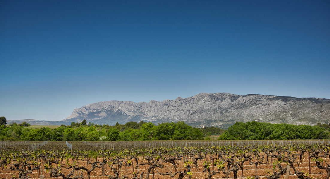 La viticulture responsable pratiquée par les viticulteurs des Vignerons de la Sainte-Victoire fait partie de l'histoire racontée au travers de leur AOP. Photo : Association des Vignerons de la Sainte-Victoire.