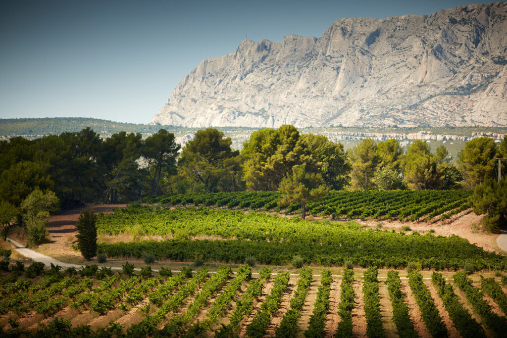Pour les viticulteurs de l'association des Vignerons de la Sainte-Victoire, la transition a débuté en 2012. Depuis, ils n'ont cessé d'expérimenter les alternatives pour ne plus recourir à l'usage des produits phytosanitaires issus de la chimie du pétrole. Photo&nbsp;: Vignerons de la Sainte-Victoire. 