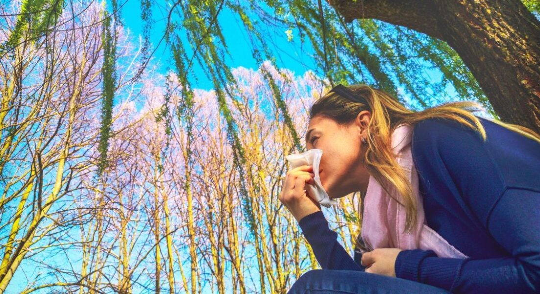 En 20 ans, la part de la population française allergique aux pollens a doublé pour atteindre 30%, et près de 8% chez les enfants. Photo : Canva