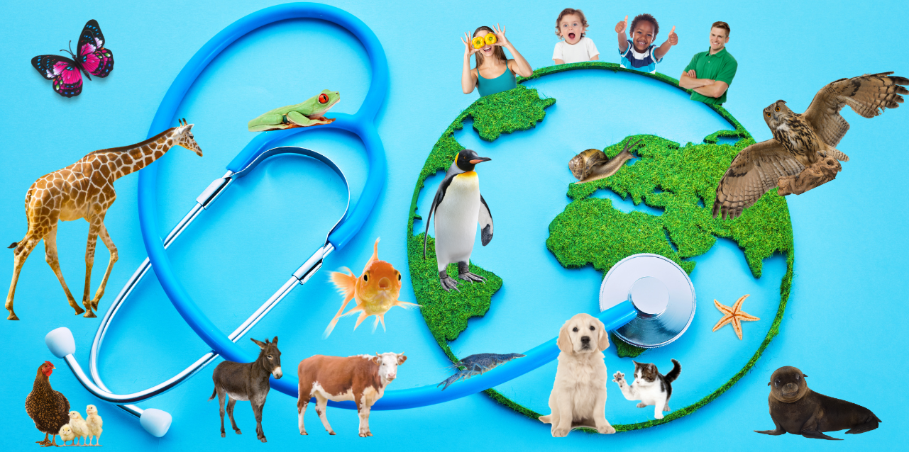 L'approche "Une seule santé" - One health  Photo&nbsp;: création AtmoSud - FJ