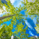 Les villes ont été pensées dans une vision centrée sur l'homme et qui écarte la nature. Un socle urbain que les experts repensent aujourd'hui face aux enjeux climatiques. Photo : Canva