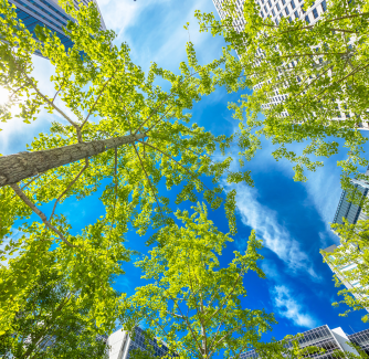 Les villes ont été pensées dans une vision centrée sur l'homme et qui écarte la nature. Un socle urbain que les experts repensent aujourd'hui face aux enjeux climatiques. Photo : Canva