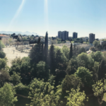 Quelles espèces végétales contribuent à l’abaissement des températures tout en étant favorable à la qualité de l’air en ville ? C'est l'un des objets de recherche du programme RESILIENCE à Marseille et à Lille. Photo : Canva