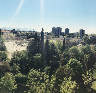 Quelles espèces végétales contribuent à l’abaissement des températures tout en étant favorable à la qualité de l’air en ville ? C'est l'un des objets de recherche du programme RESILIENCE à Marseille et à Lille. Photo : Canva