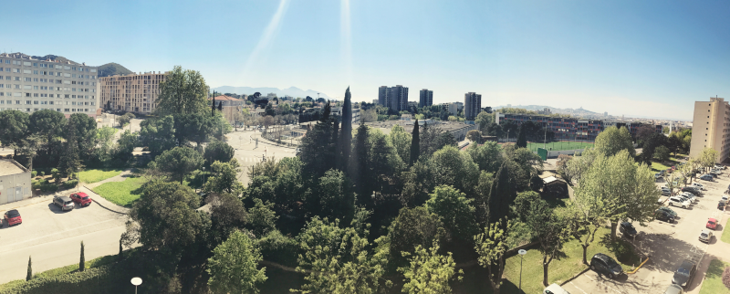 Quelles espèces végétales contribuent à l’abaissement des températures tout en étant favorable à la qualité de l’air en ville ? C'est l'un des objets de recherche du programme RESILIENCE à Marseille et à Lille. Photo : Canva